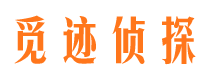 新建市侦探公司